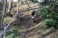 regional lormont cyclocross 149.jpg